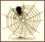spider web icon